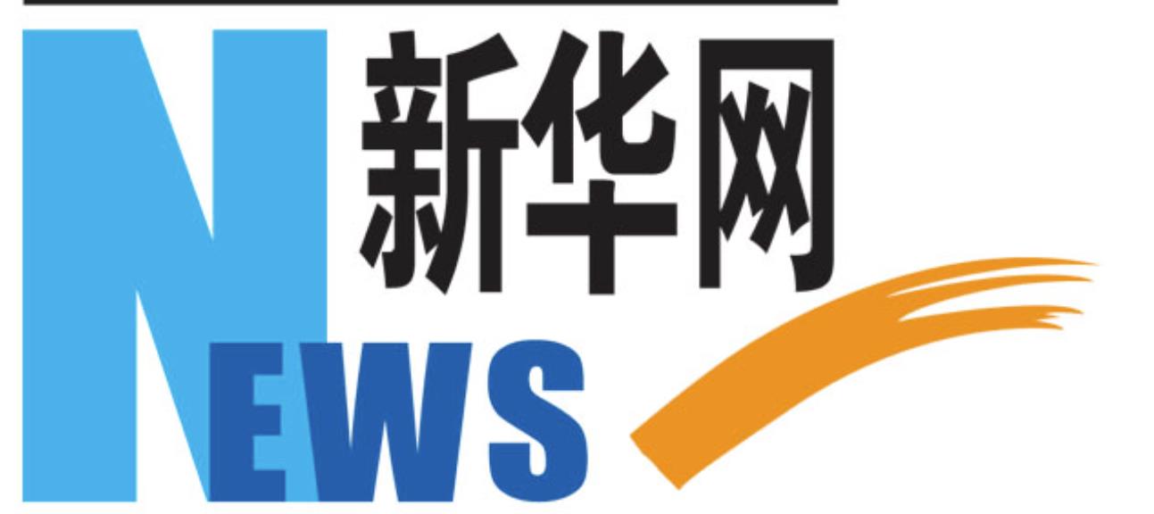 新华网logo.jpg