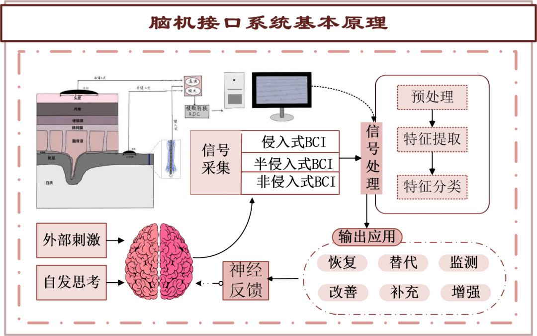 脑机接口工作原理示意图